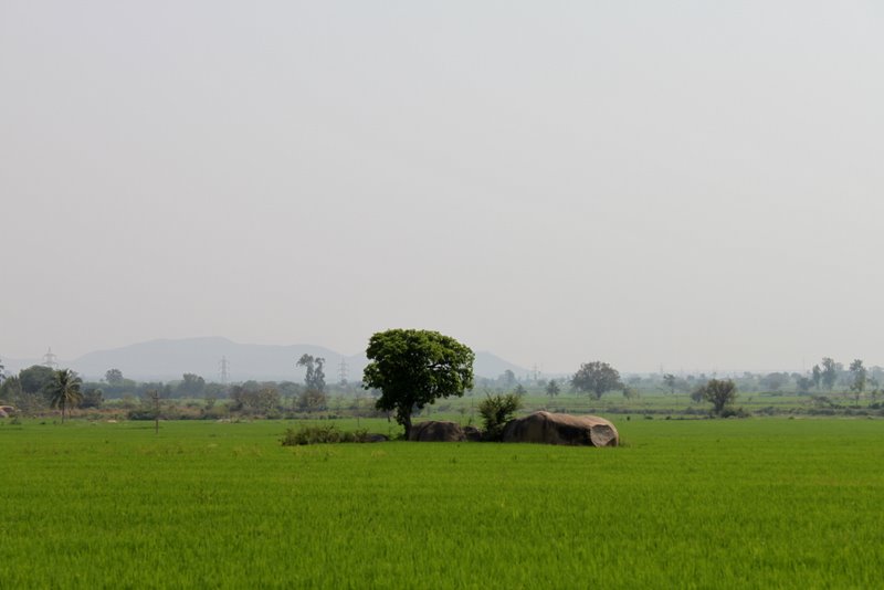 The valley north of Hospet. We passed through on our way from Shanti Guest House to the bus station.